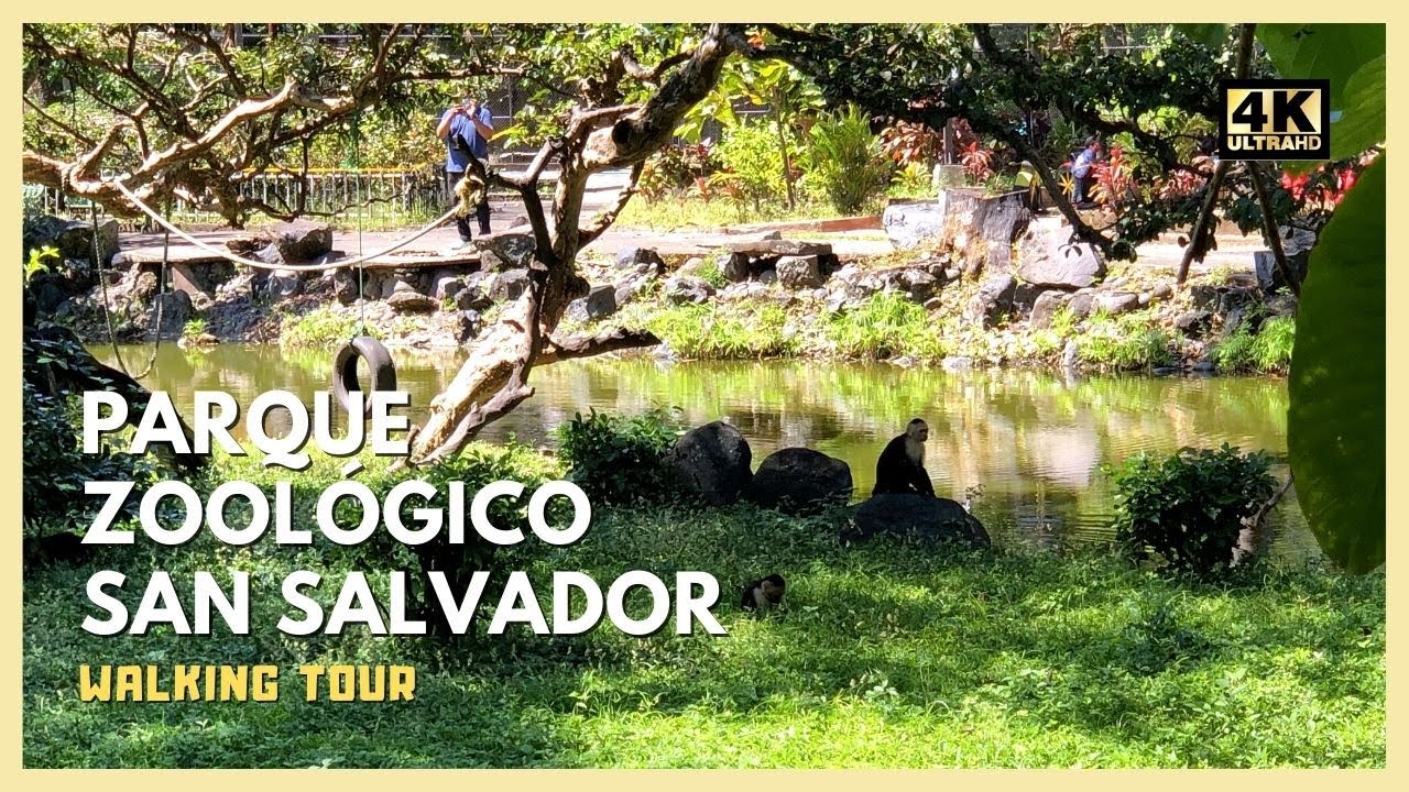 [4K] Walking Parque Zoologico Nacional in San Salvador, El Salvador (2020)