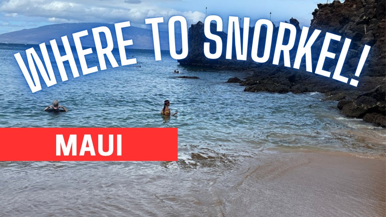 Maui: The 3 Best Snorkeling Spots + 1 Bonus + Ocean Conditions Report