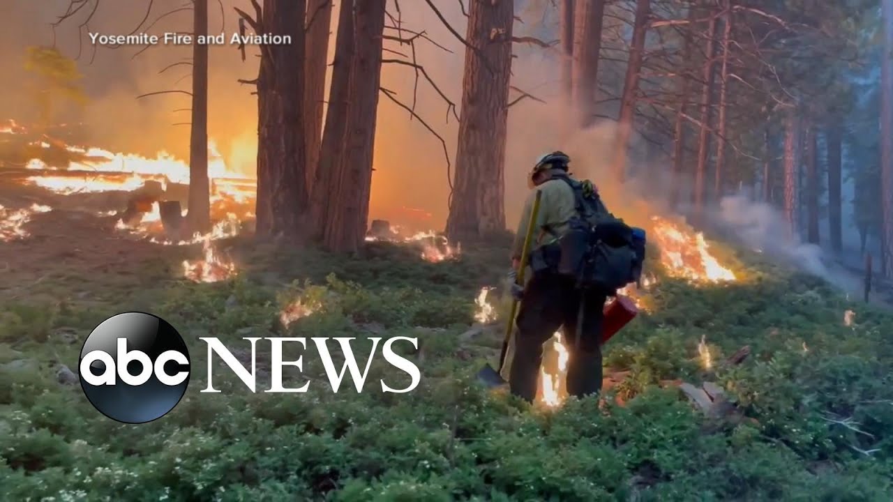 Washburn Fire rages through California's Yosemite National Park l GMA