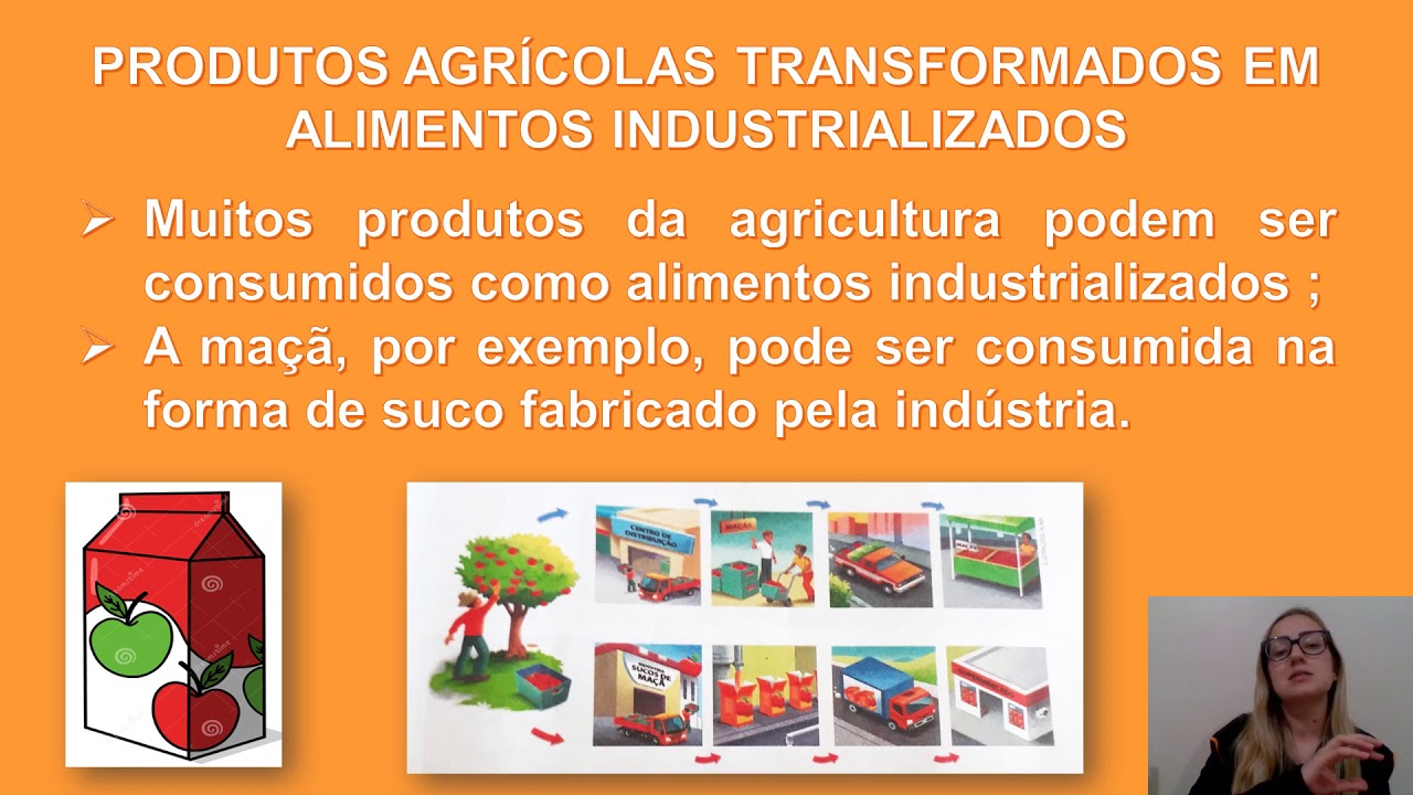 O trabalho no campo - 3&ordm; ano.