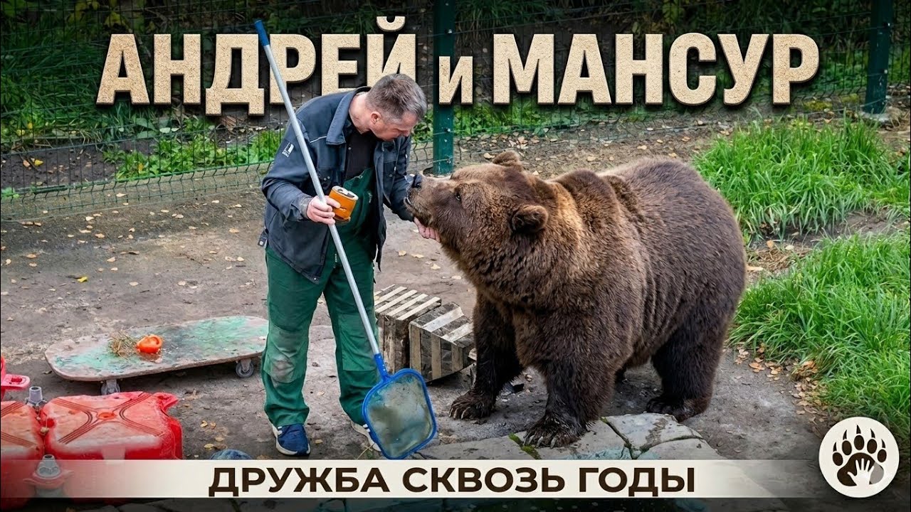 Мансур и Андрей 🐻 Mansur and Andrey_7/10/25