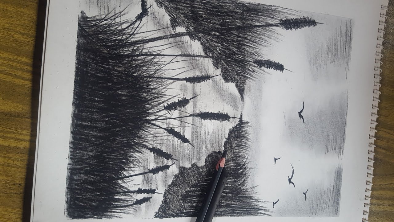 Easy charcoal sketching/Charcoal pencil sketch