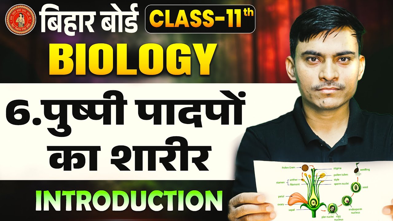 Biology Class 11th Anatomy of Flowering Plants | पुष्पी पादपों का शारीर 11th Biology Chapter 6 |