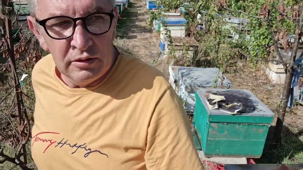 Prezint toti stupii la zi!,ce am gasit?
