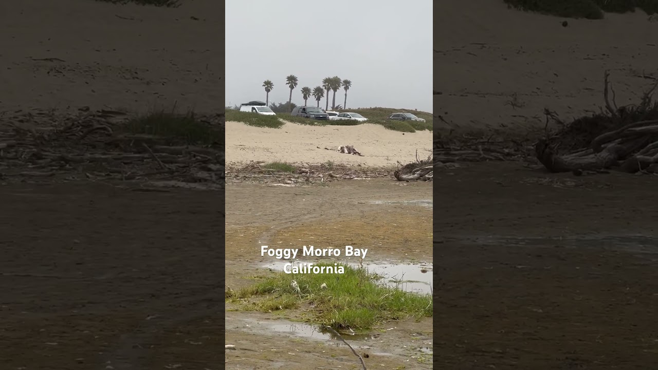 Foggy Morro Bay,California #travel #adventure #morrorock