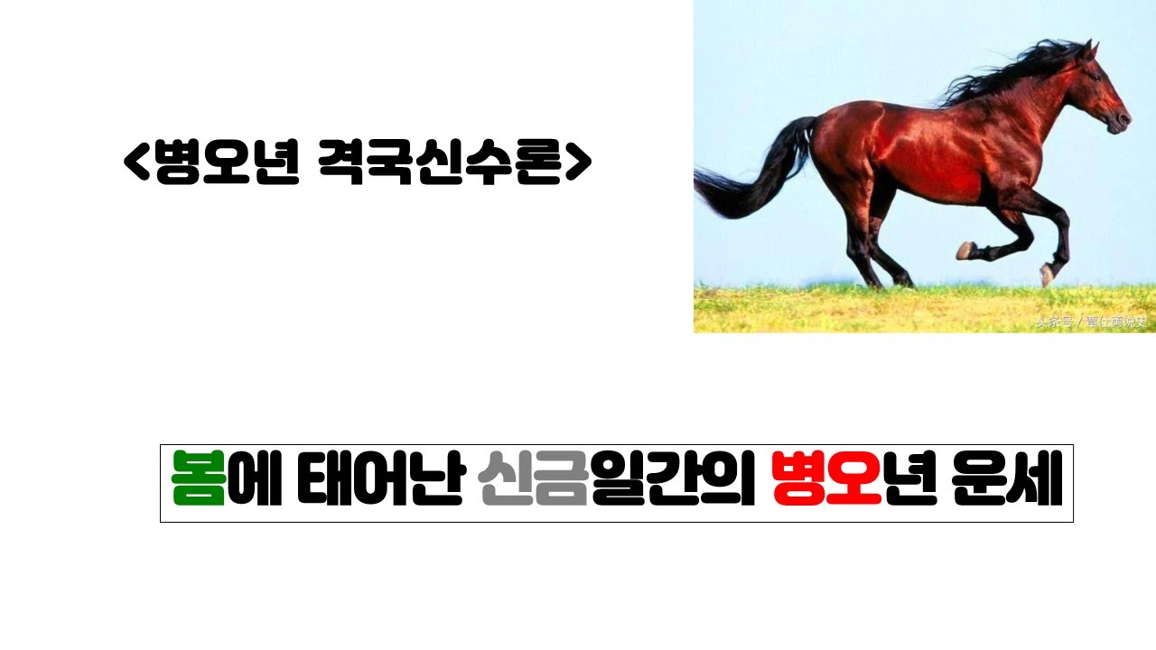봄에 태어난 신금일간의 병오년 운세