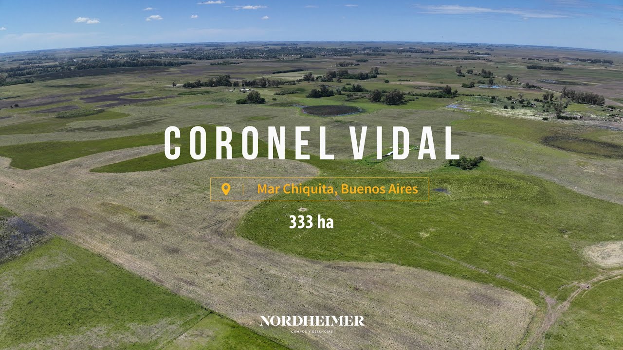 Coronel Vidal, Mar Chiquita, Buenos Aires - 333 ha | Campo en venta