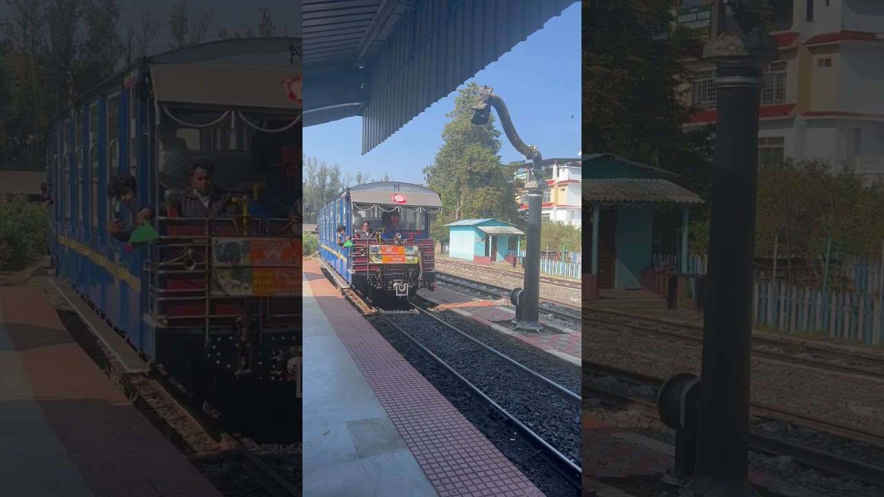 Ooty train