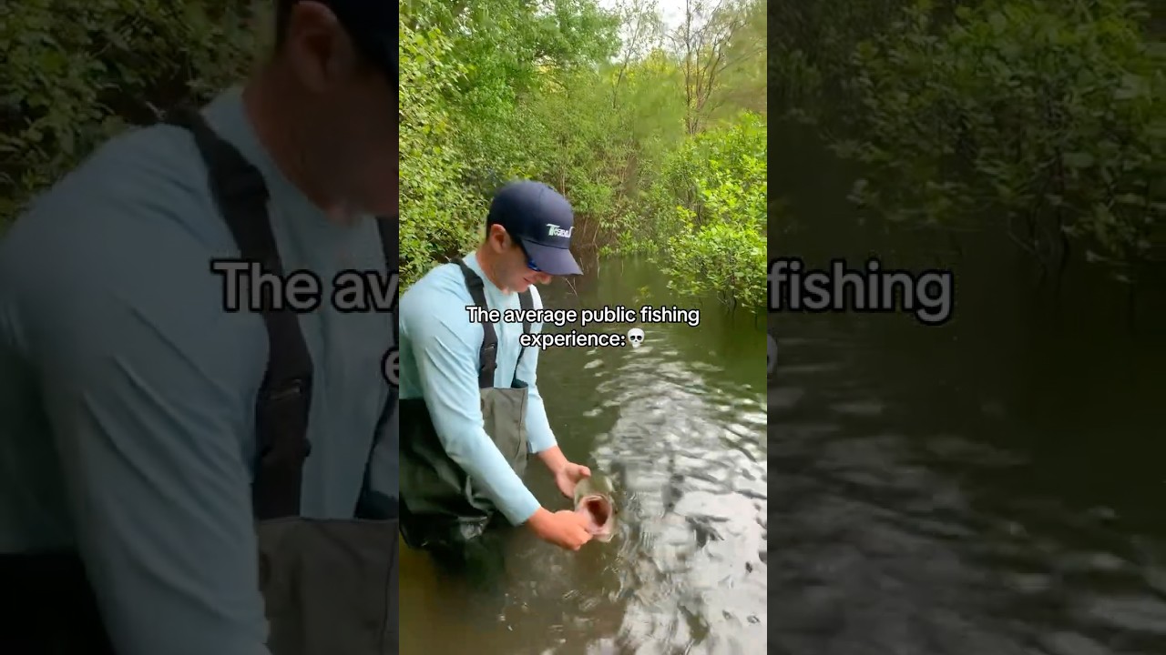 Average public fishing experience💀
