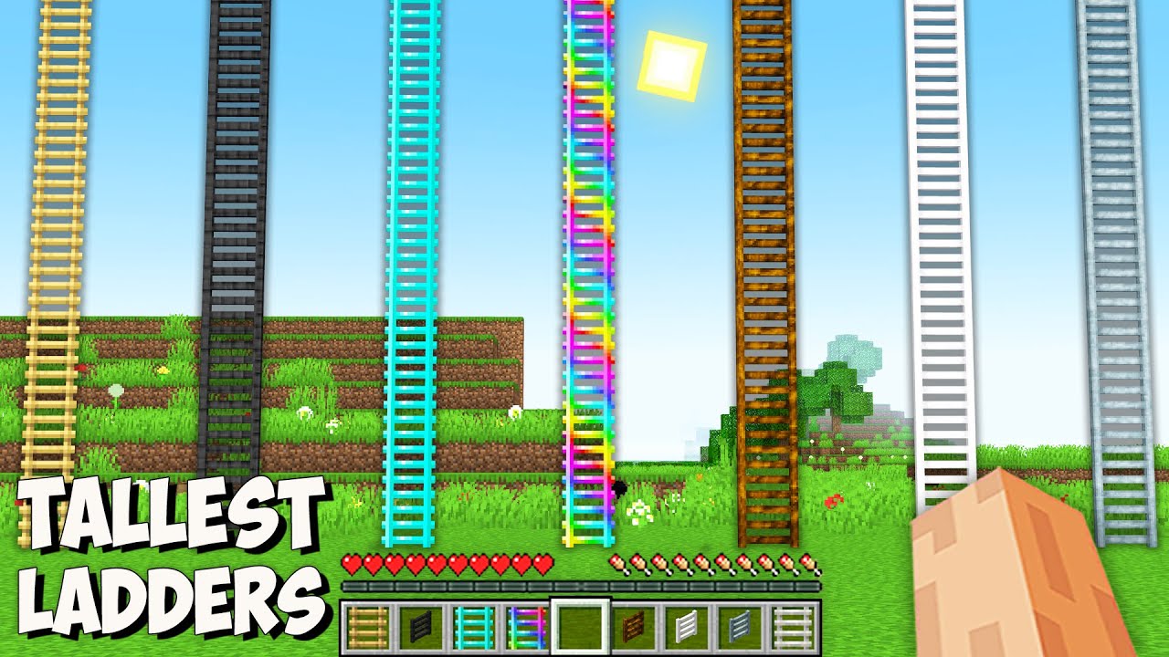 Where do lead NEW TALLEST LADDERS in Minecraft? HIGHEST LADDERS of DIAMOND vs RAINBOW vs DIRT!