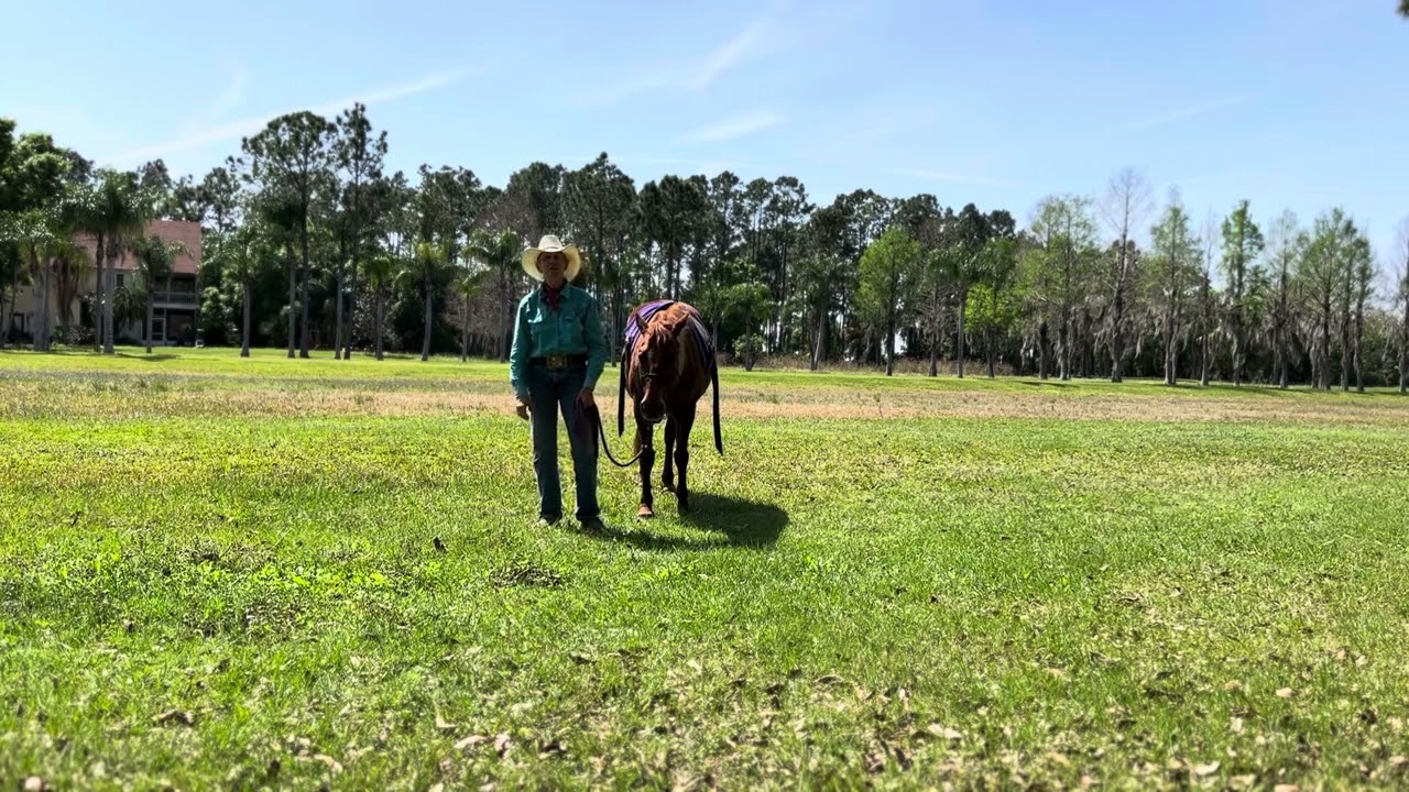How to Read a Horse with Nancy Slater