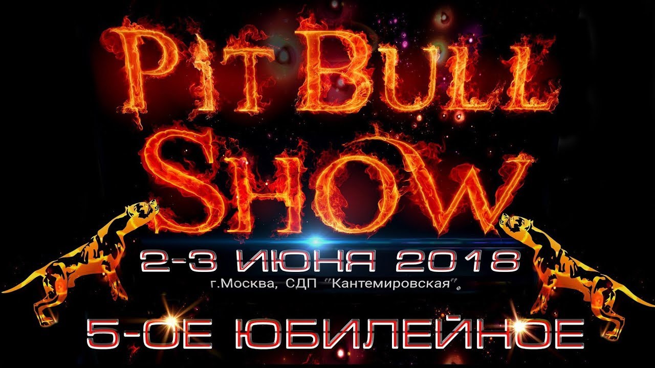 Pitbull Show Moscow 2018г. апбт. американский питбультерьер, американский стаффордширский терьер.
