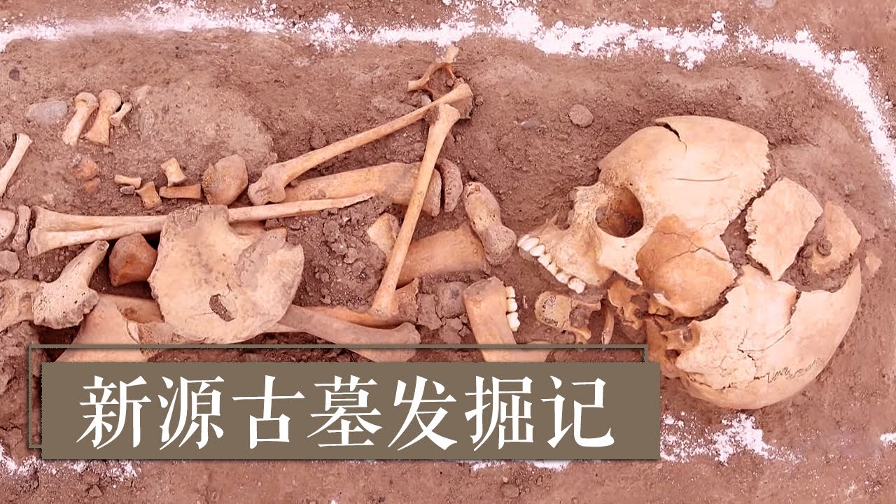 《2020考古进行时》第三季 新源古墓发掘记 被肢解的远古少年 | 中华国宝