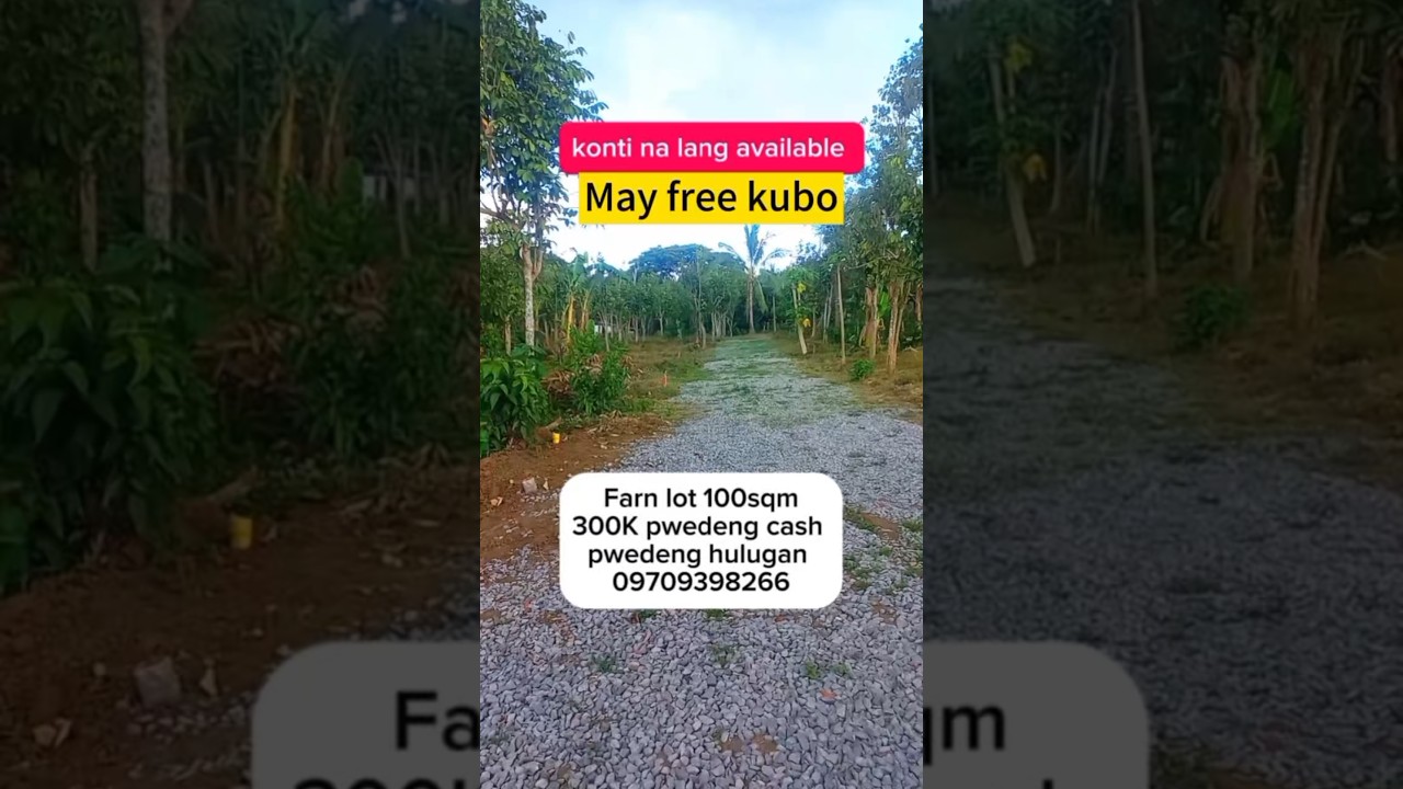 Farm lot 100sqm Price: 300K  Location: Brgy Santiago 1 San Pablo City Laguna #farmlot #investment