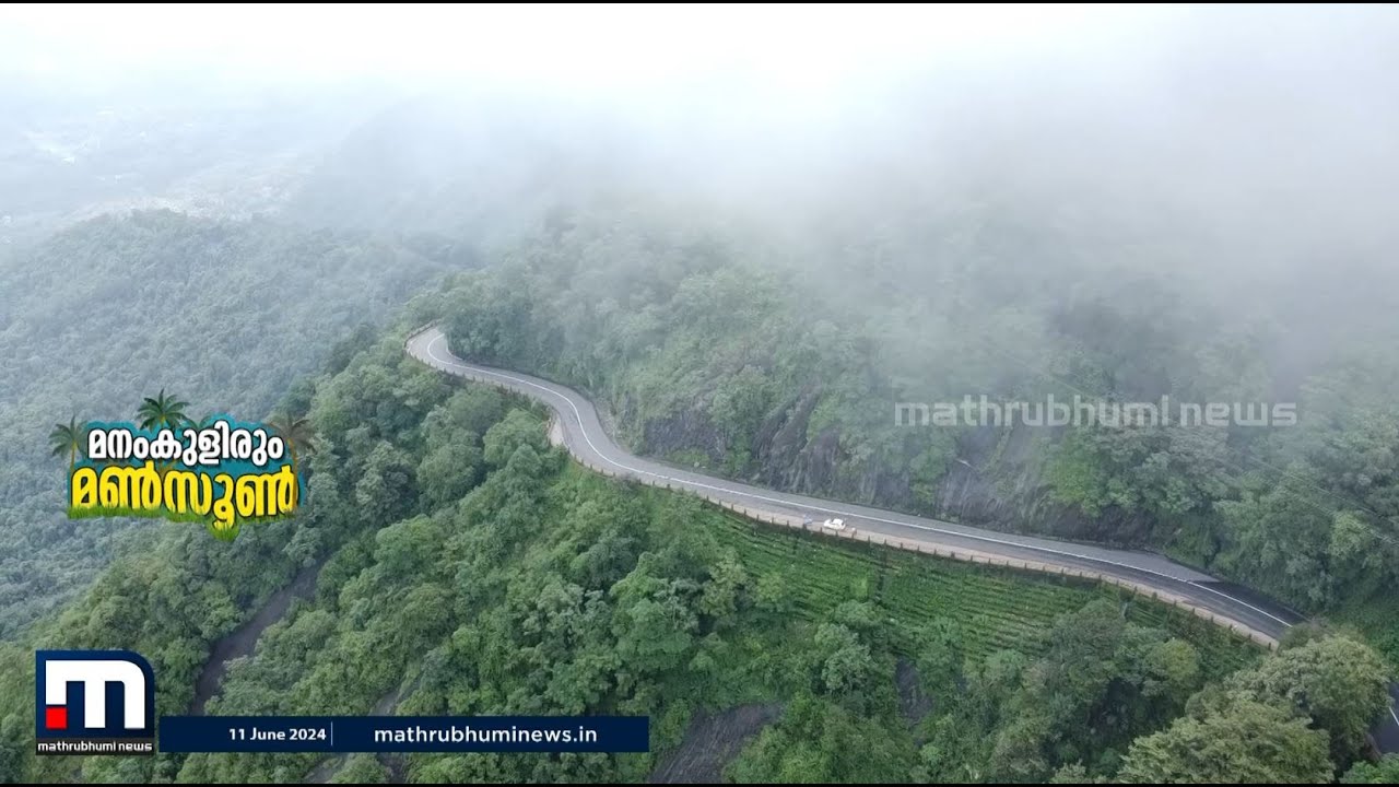 ദിസ് ഈസ് ഹെവൻ! കോടയും മഴയും... താമരശേരി ചുരത്തിന്റെ വൈബ് മഴക്കാലത്ത് വേറെ ലെവൽ | Thamarassery Churam