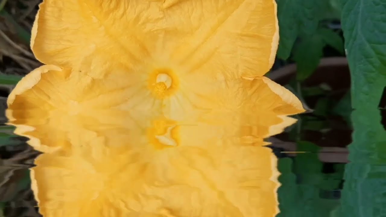 നിരഞ്ജനെ കുടുക്കാൻ നോക്കിയ പൊന്നുമണിക്ക് കണക്കിന് കൊടുക്കുമ്പോൾ നിരഞ്ജനേ രക്ഷിക്കാൻപരുന്ത്ഇറങ്ങുന്നു