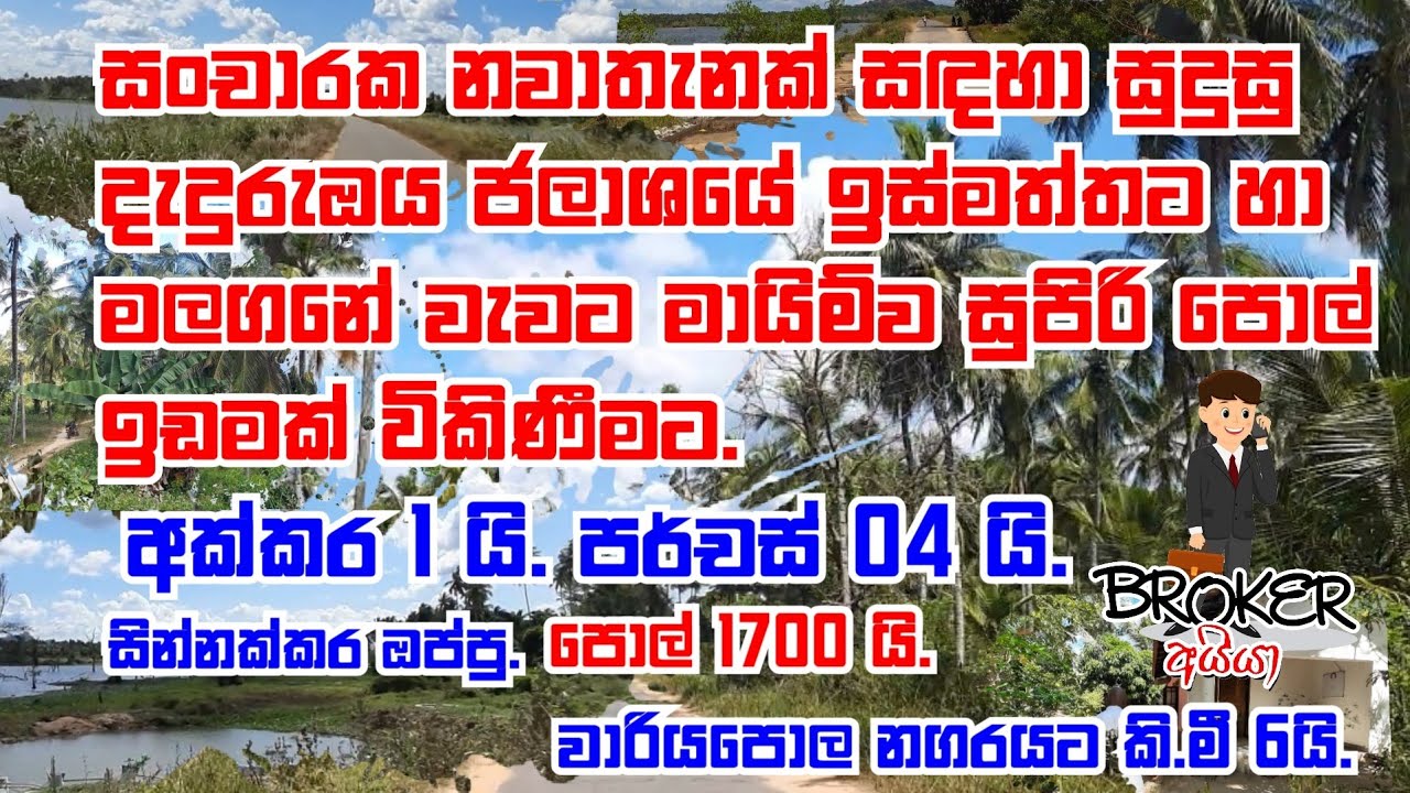 Coconut Land For Sale In Wariyapola @brokeraiya POL IDAM/COCONUT LAND/ LANKAWE POL IDAM
