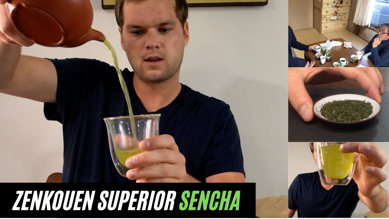 Tasting the Zenkouen Superior Sencha from Shizuoka