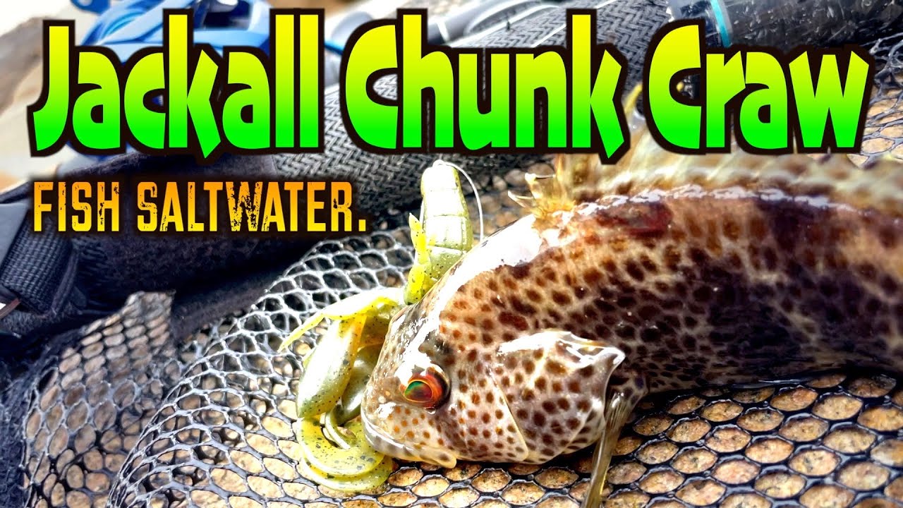 Jackall Chunk Craw Did the Job – Catch Spotted Bay Bass