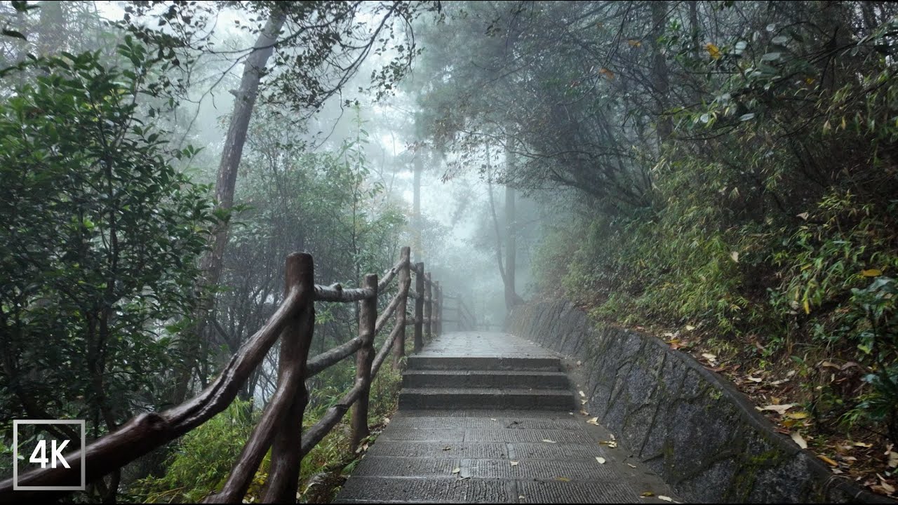 Foggy Rain Walk in Avatar Mountains, China / 4K 60fps / Rainy Ambience / Binaural Audio