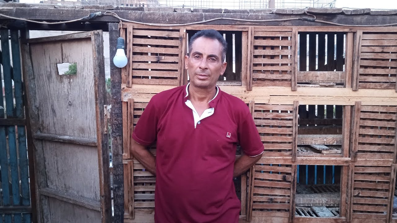 اشهد يا تاريخ مع رضا العداد و تحيا خاصا لي سيد عرب و مصطفي امام