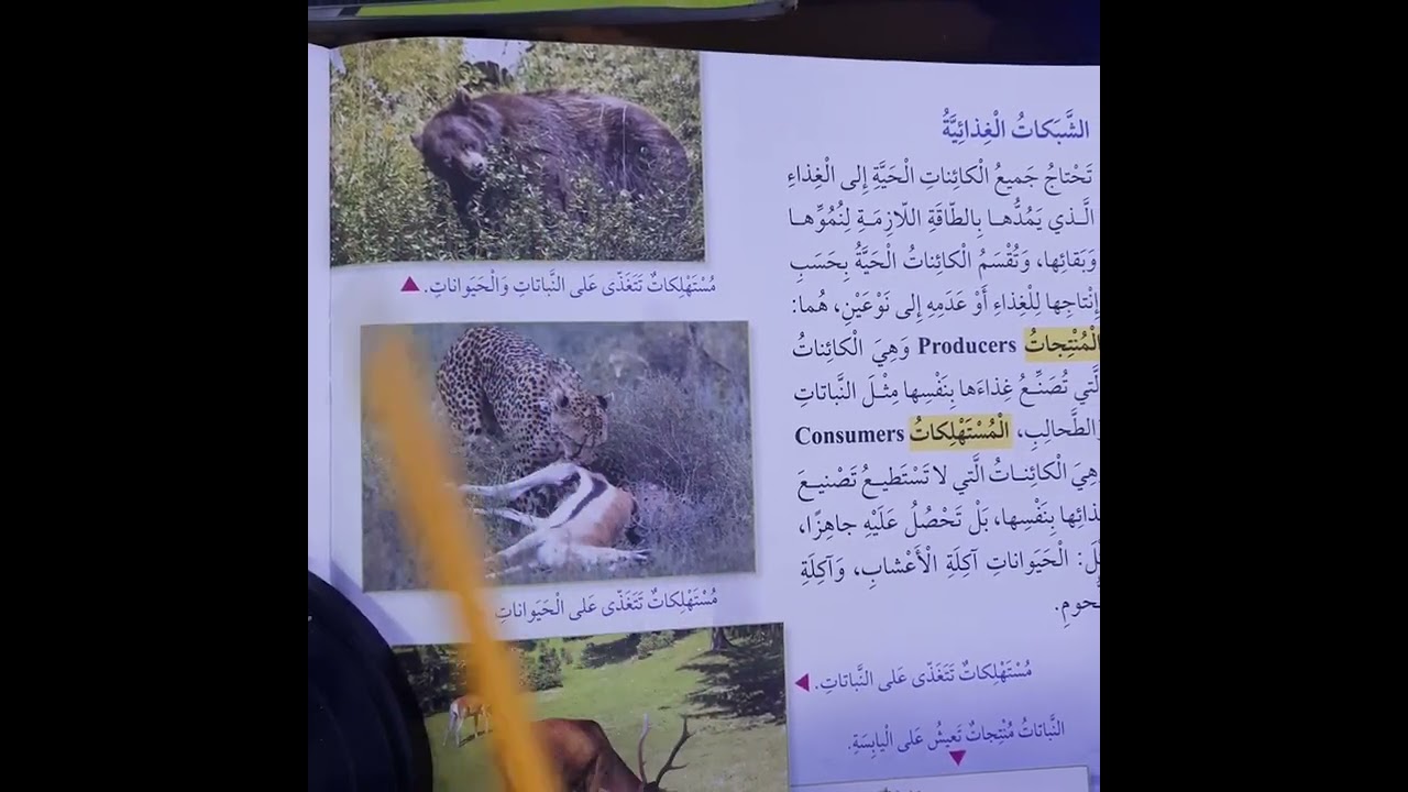 الكائنات الحية في بيئاتها علوم صف ثالث