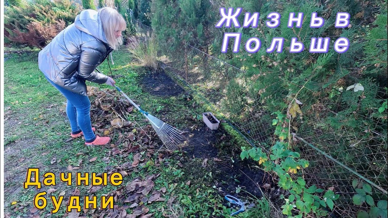 Дачные будни в Польше. Уборка участка перед зимой. DIY #жизньвпольше  #diy