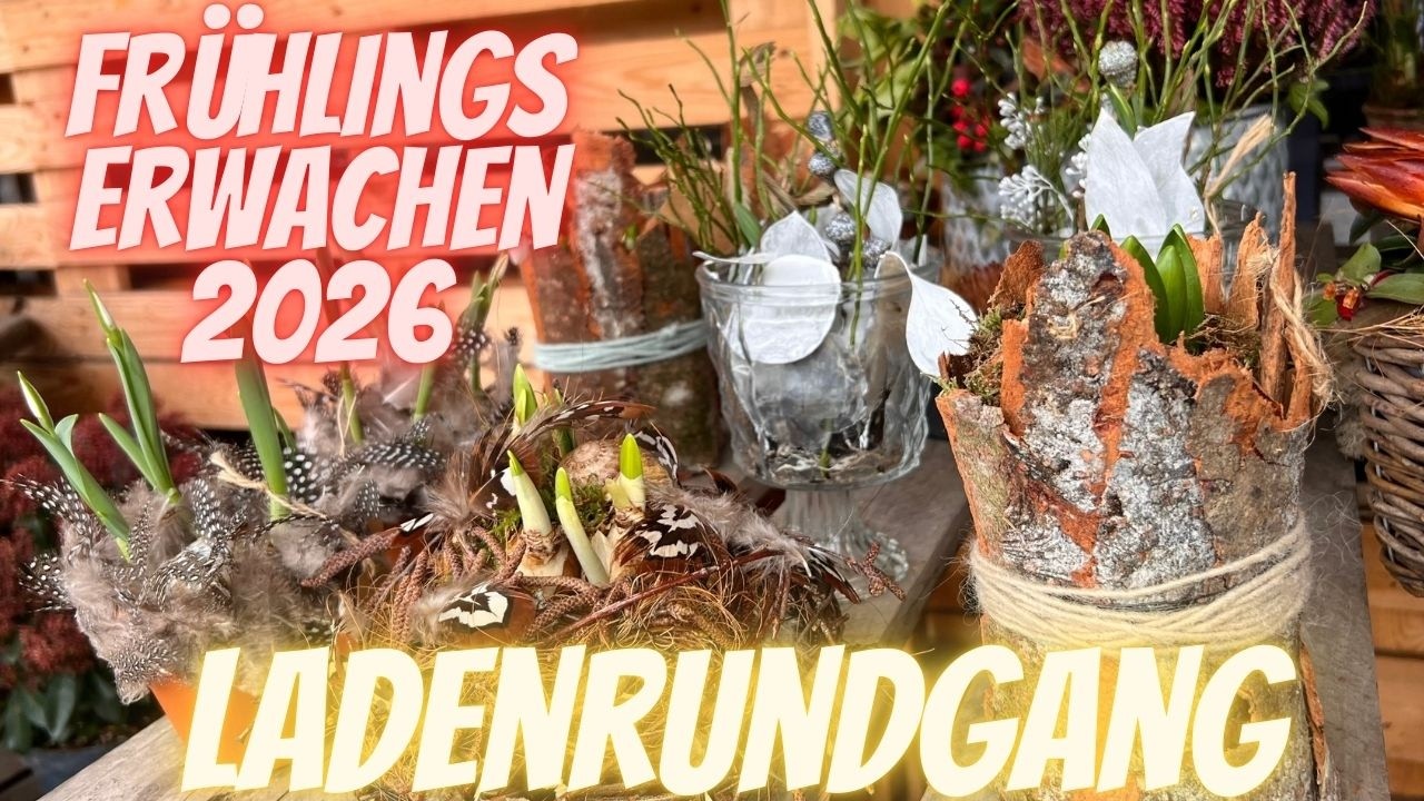 So schön startet der Frühling! 🌸 Ladenrundgang beim Blumenmann (Februar-Highlights für draussen)