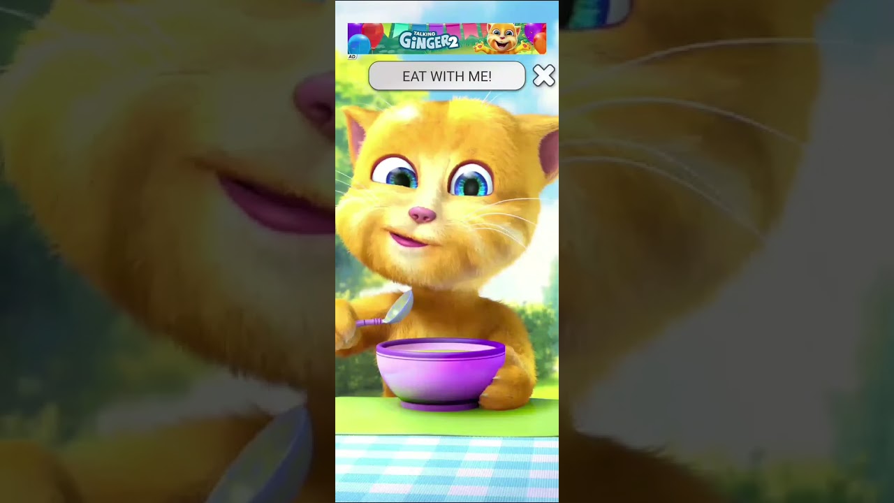 Talking Ginger 2😂 Talking Ginger Tom