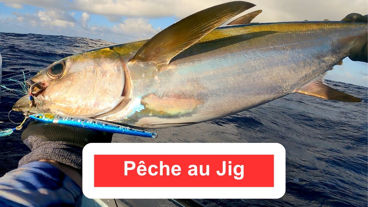 Comment pêcher au JIG dans les tombants ?   Pêche au jig la journée et à l'appât de nuit