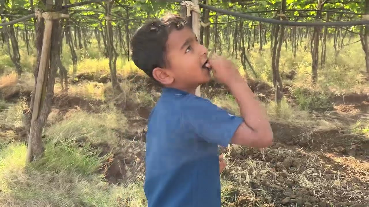 Shree Ani Kavya Chi Ranat Masti 🤣