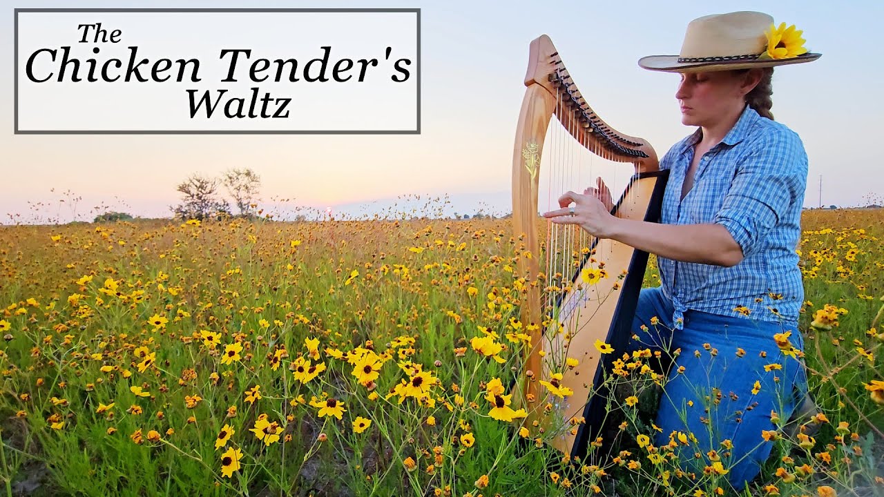 Chicken Tender's Waltz - Original Harp Lullaby for Chickens