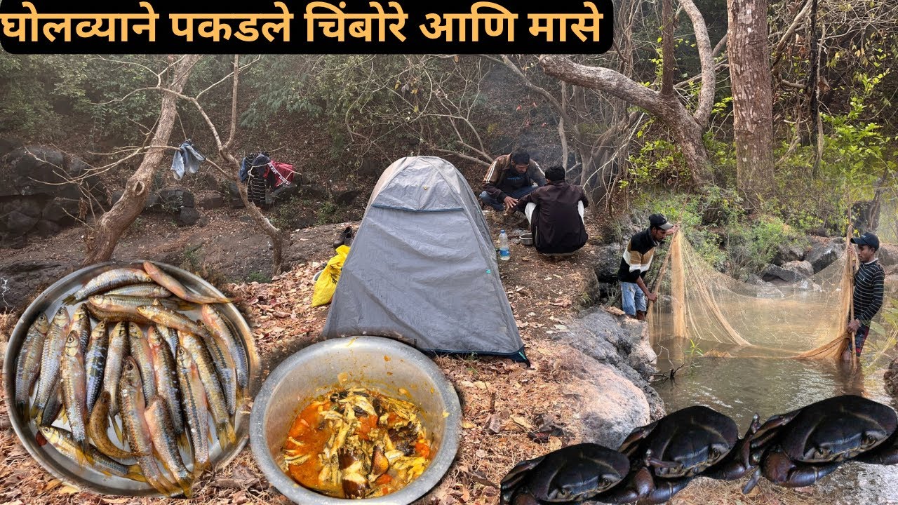 घोळव्याने आणि काडालीने पकडले मासे आणि चिंबोरे आणि फुल्ल नाईट camping 🦀🐟⛺️🏕