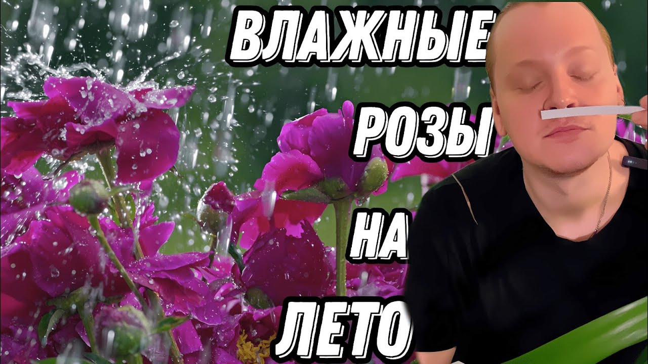 Ароматы с нотой розы на лето.Влажные,мускусные,дождливые и аптечные.