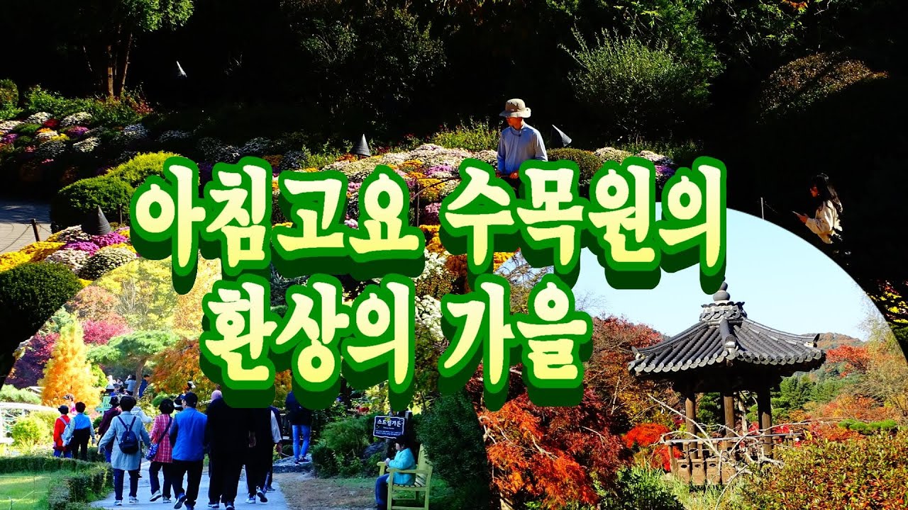 가평 아침 고요 수목원의 환상의 가을풍경을 찾아서