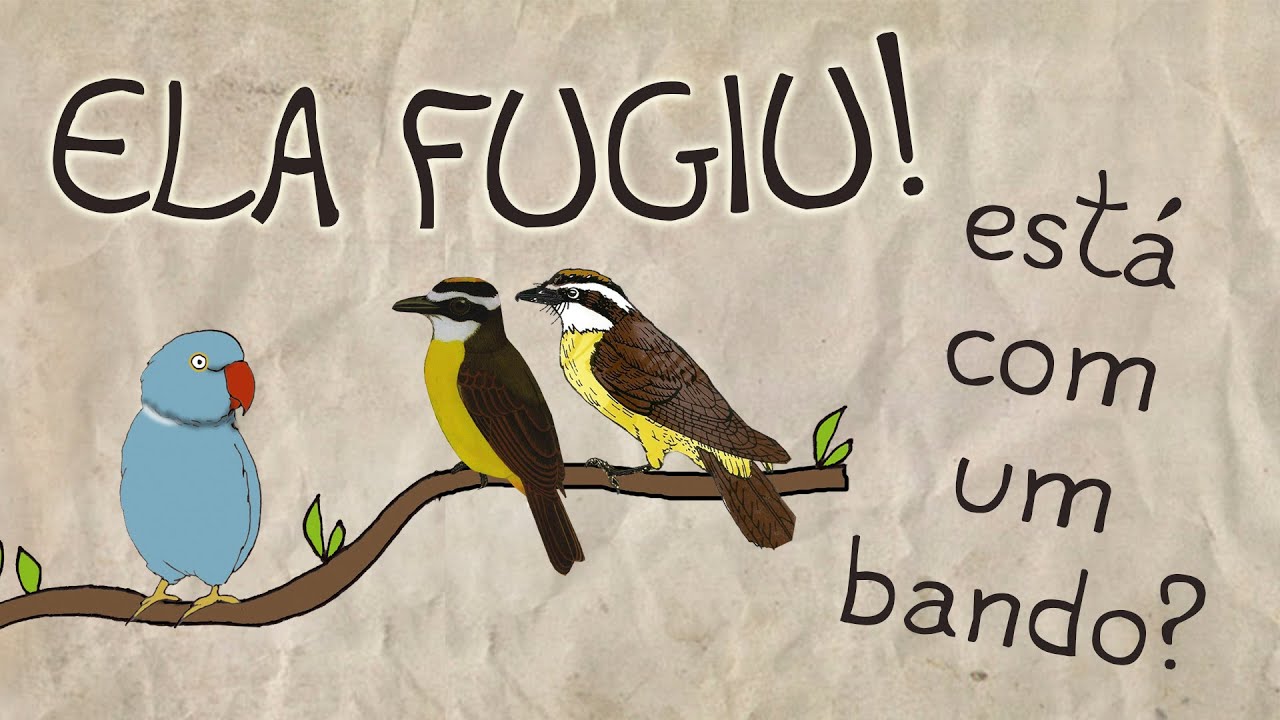 Quando ela Foge! - Parte 02