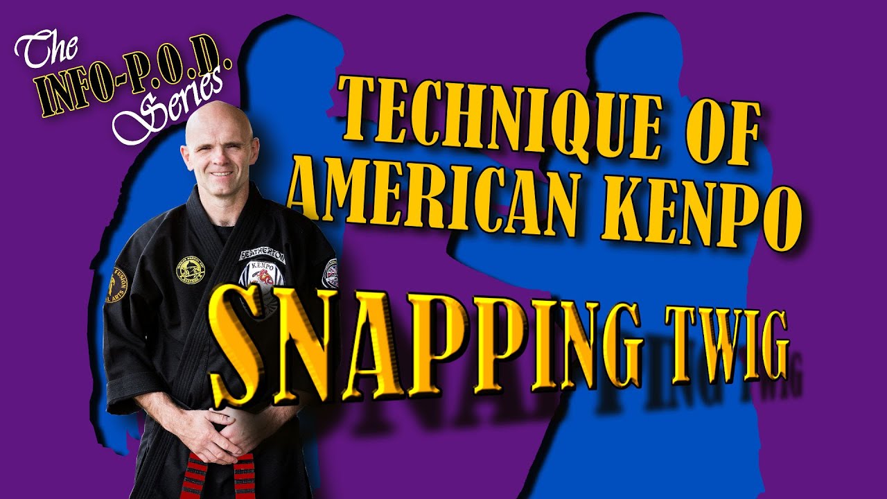 Snapping Twig American Kenpo