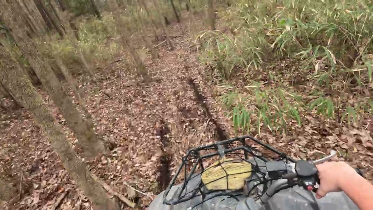 Riding through the woods on a yamaha wolverine