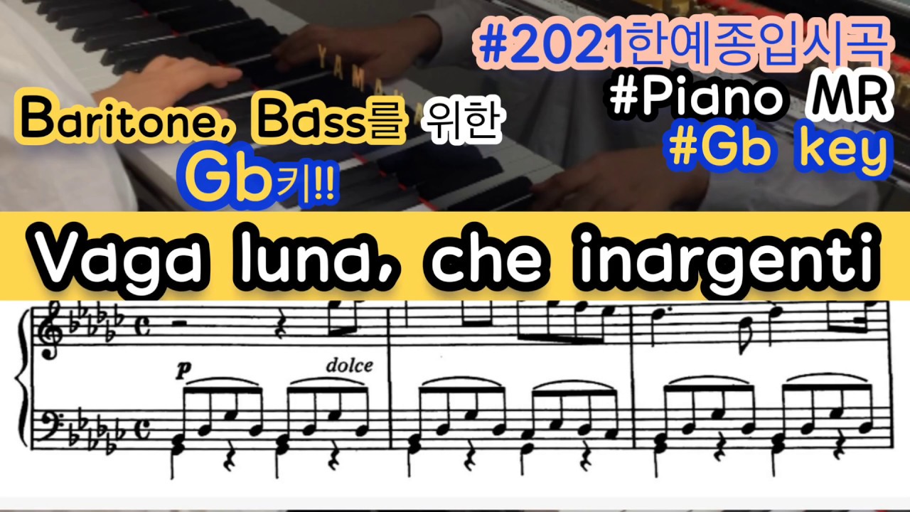 Baritone,Bass를 위한 Vaga luna, che inargenti Accompaniment (방랑하는 은빛 달이여 반주)
