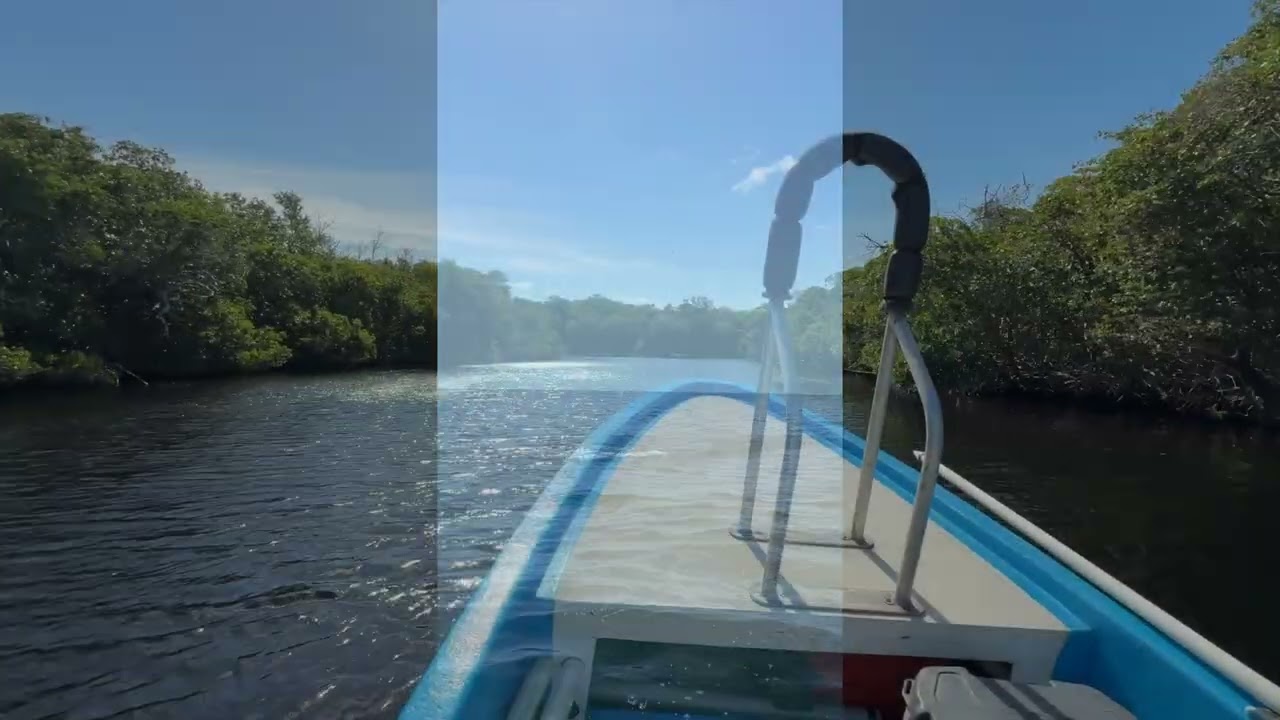 Tarpon on the Fly
