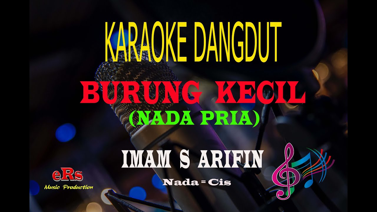 Karaoke Burung Kecil Nada Pria - Imam S Arifin (Karaoke Dangdut Tanpa Vocal)