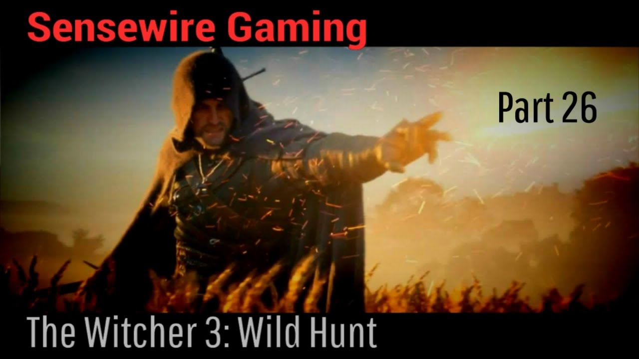 The Witcher 3: Wild Hunt (Let's Play) Part 26 - Dungeon Schemes