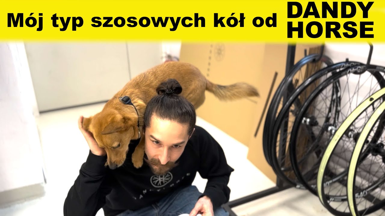 Dandy Horse Pozytron 45 - M&Oacute;J TYP - koła szosowe gumy do 35mm (czyli do gravela też się założy ;)