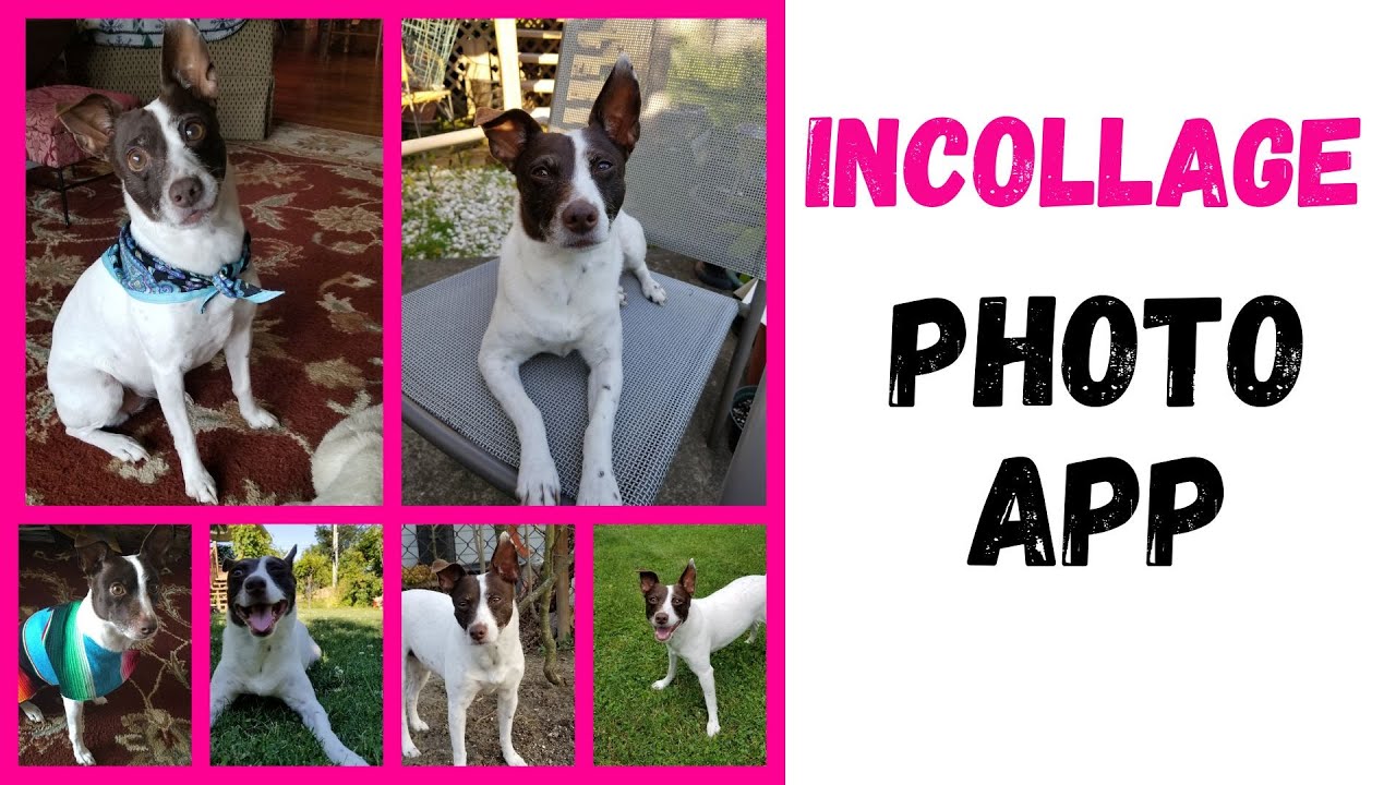 Photo collage app - How to set up collage of pictures for Foto Book Art