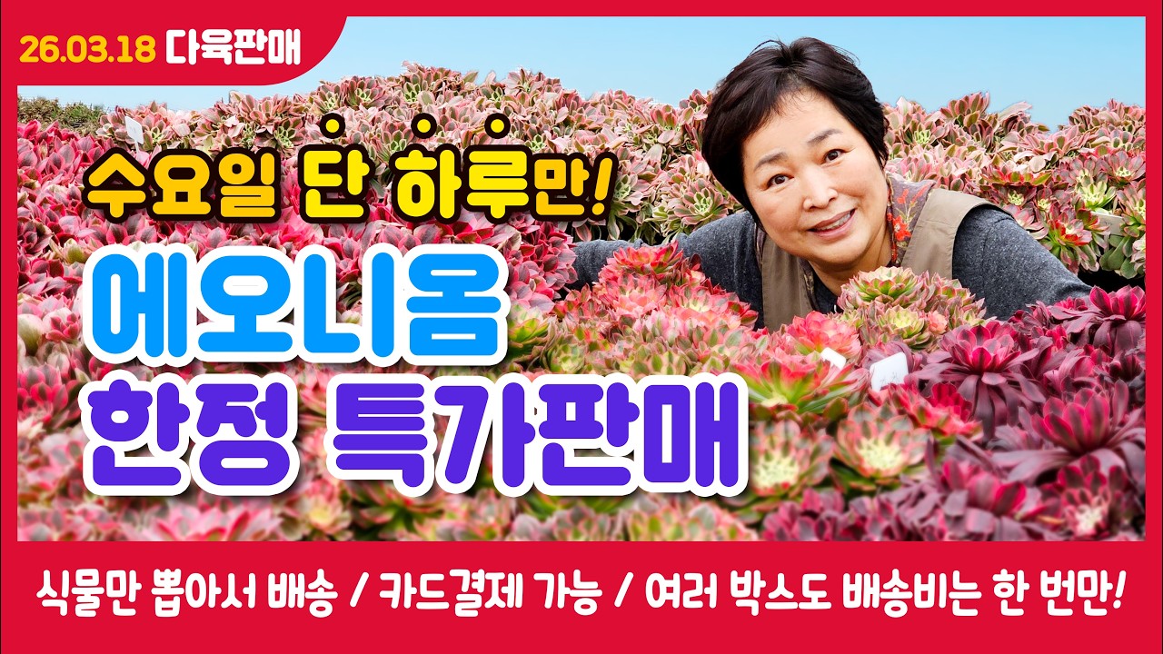 수요일 단 하루, 에오니옴 한정수량 특가판매! [2026.03.18]