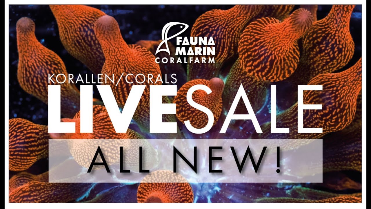 Fauna Marin  Live Sale .. mit paar coolen Extras …
