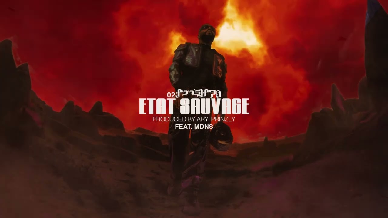 PRINZLY - ETAT SAUVAGE ft. MDNS (VISUALIZER)