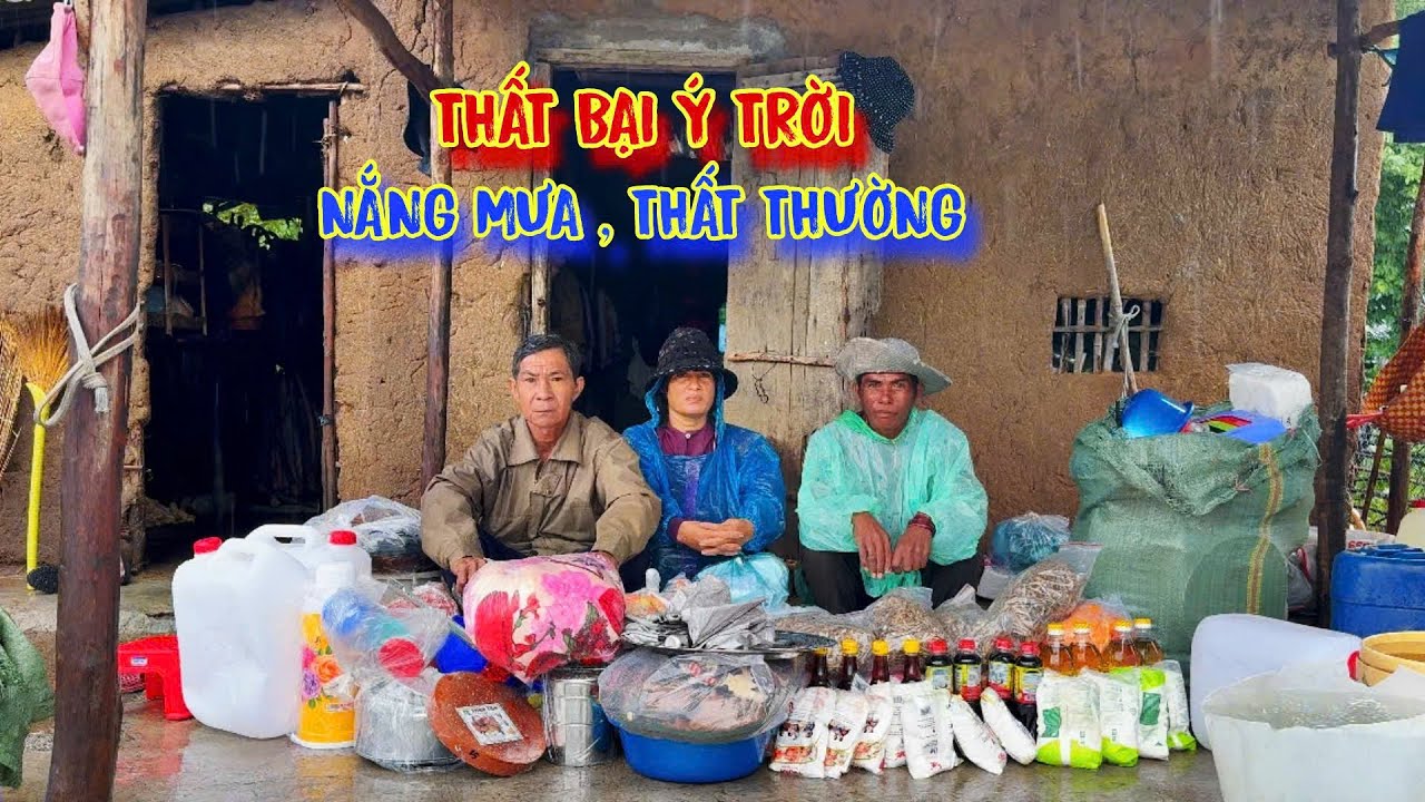 THẤT BẠI, 2 vợ chồng hơn 20 NĂM ở rừng, trồng trọt, chăn nuôi, vẫn THIẾU ĂN - tập 1244