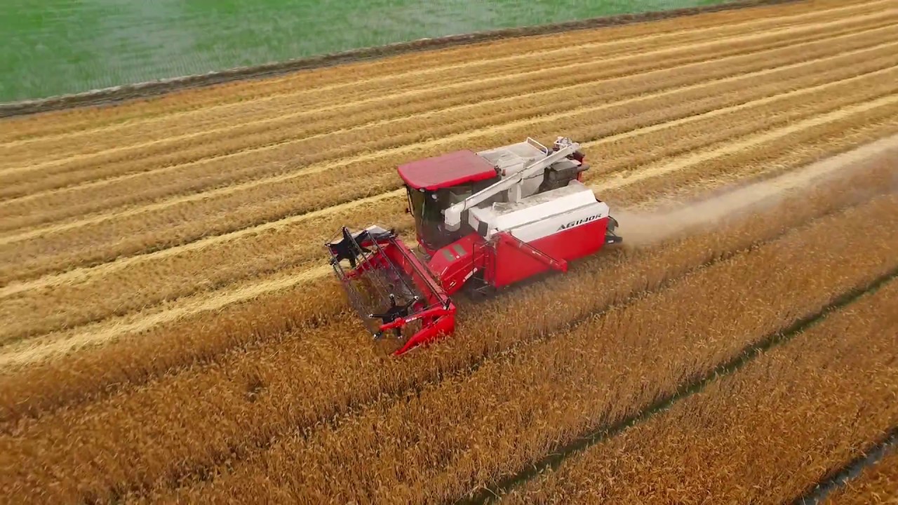 2018 barly harvesting YANMAR AG1140R with DJI inspire