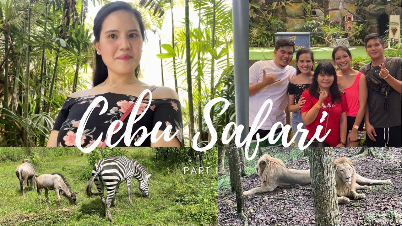 Cebu Safari (tour, prices, cabins) 🦁🦓 | Gellivlogs
